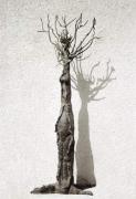 Tree of Life by Zeevic