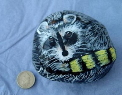 "Raccoon on a 'pebble'" by David Osborne