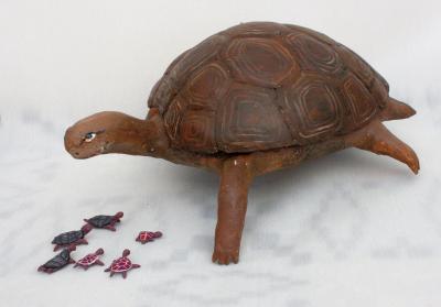 "Tortoise" by David Osborne