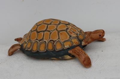 "Tortoise" by David Osborne