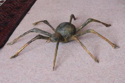 "Spider" by David Osborne
